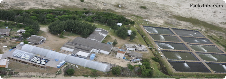 Estação Marinha de Aquacultura